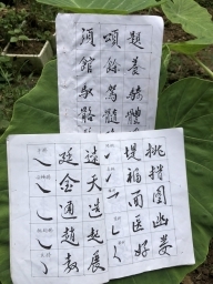 baobaozheng