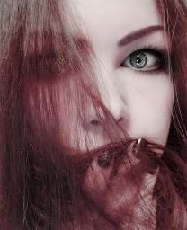 lynsee