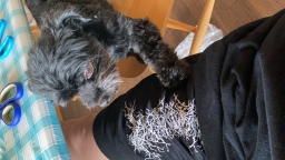 ziroron
