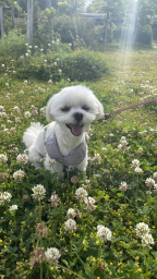 honey0803