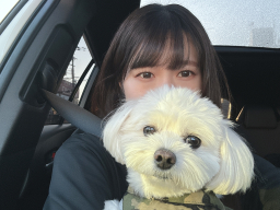 mado_jp