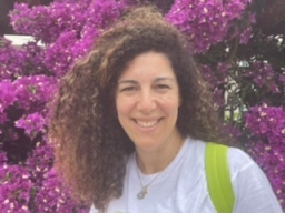 margarida