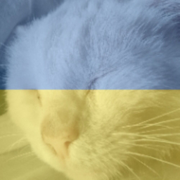 qua_zi